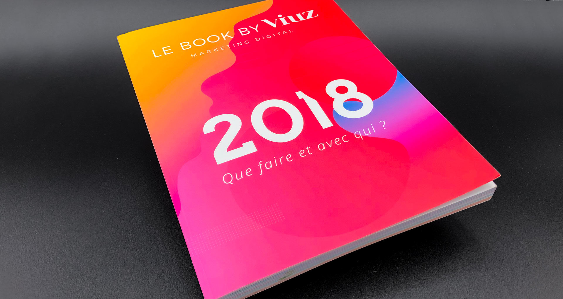 Conception graphique Le book by Viuz