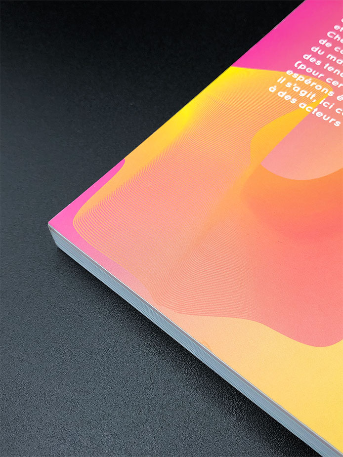 Conception graphique Le book by Viuz