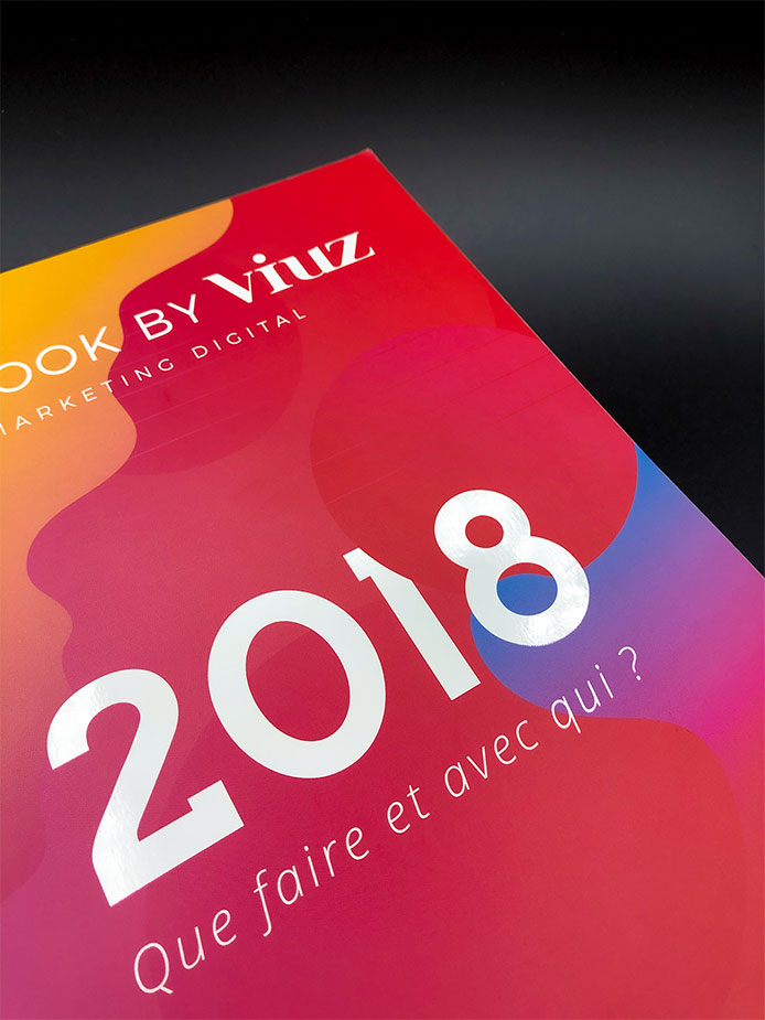 Identité visuelle & branding Viuz