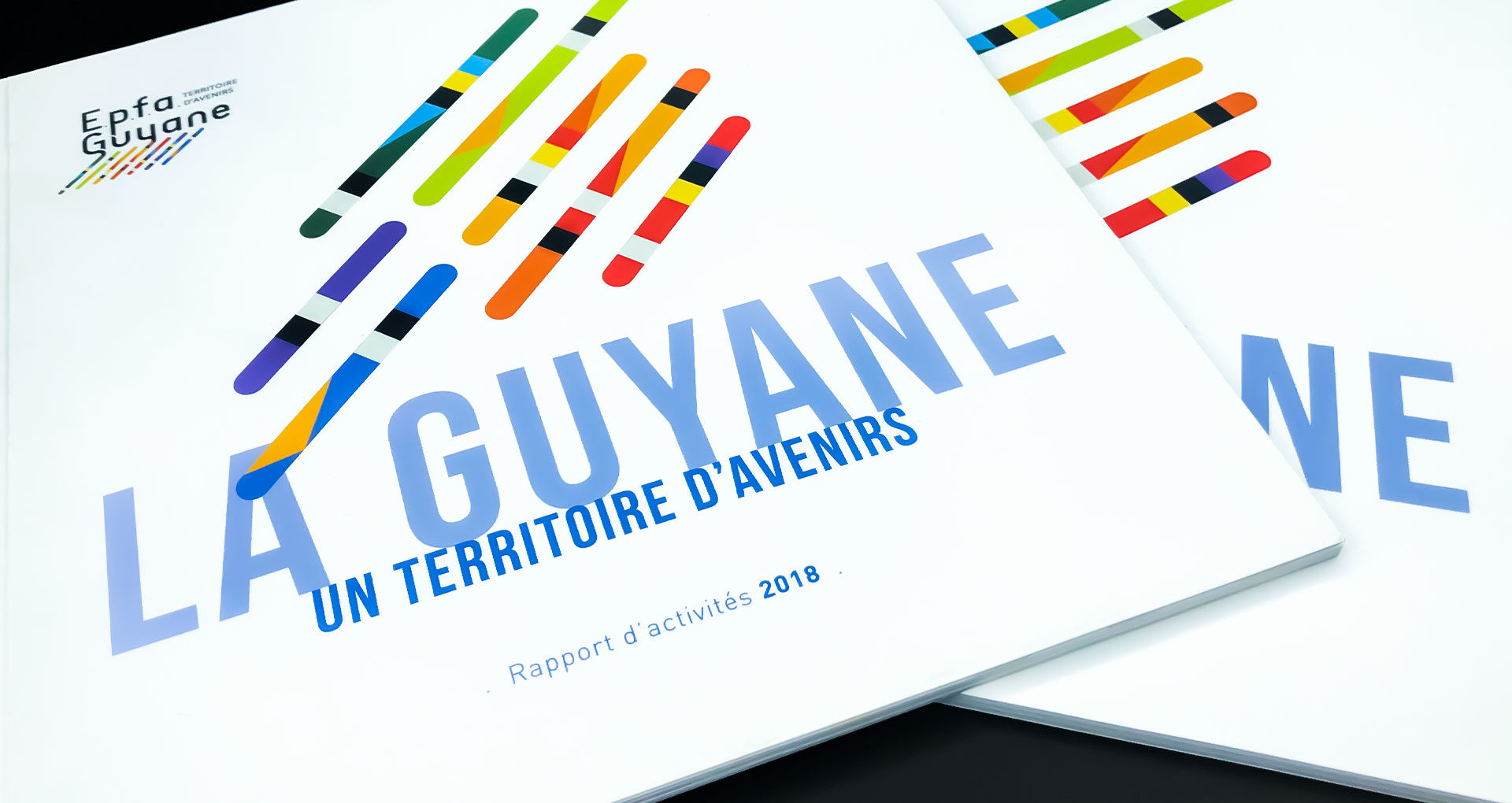 Identité visuelle, Direction Artistique - Rapport d'activité EPFA Guyane