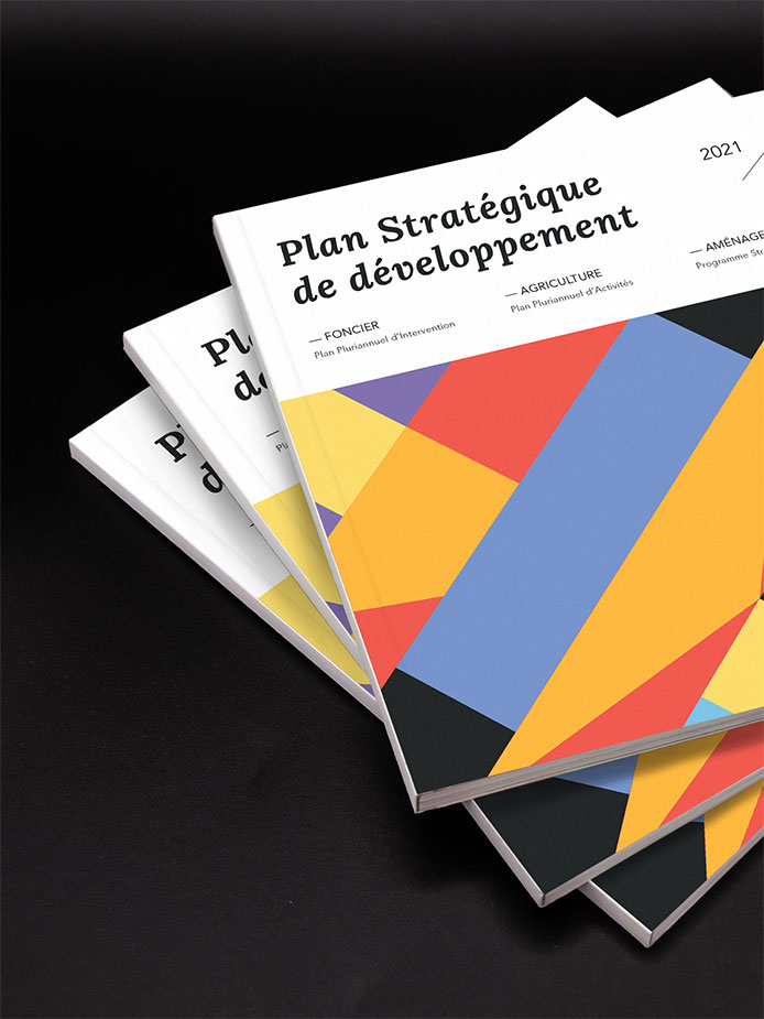 Identité visuelle, Direction Artistique - Rapport d'activité EPFA Guyane