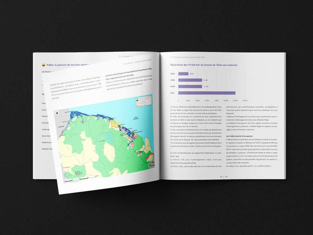 Identité visuelle, Direction Artistique - Rapport d'activité EPFA Guyane