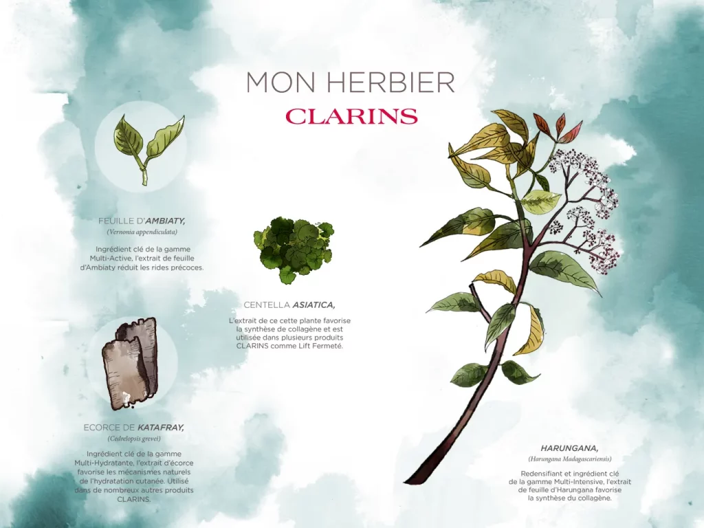 clarins illustration, experience digitale