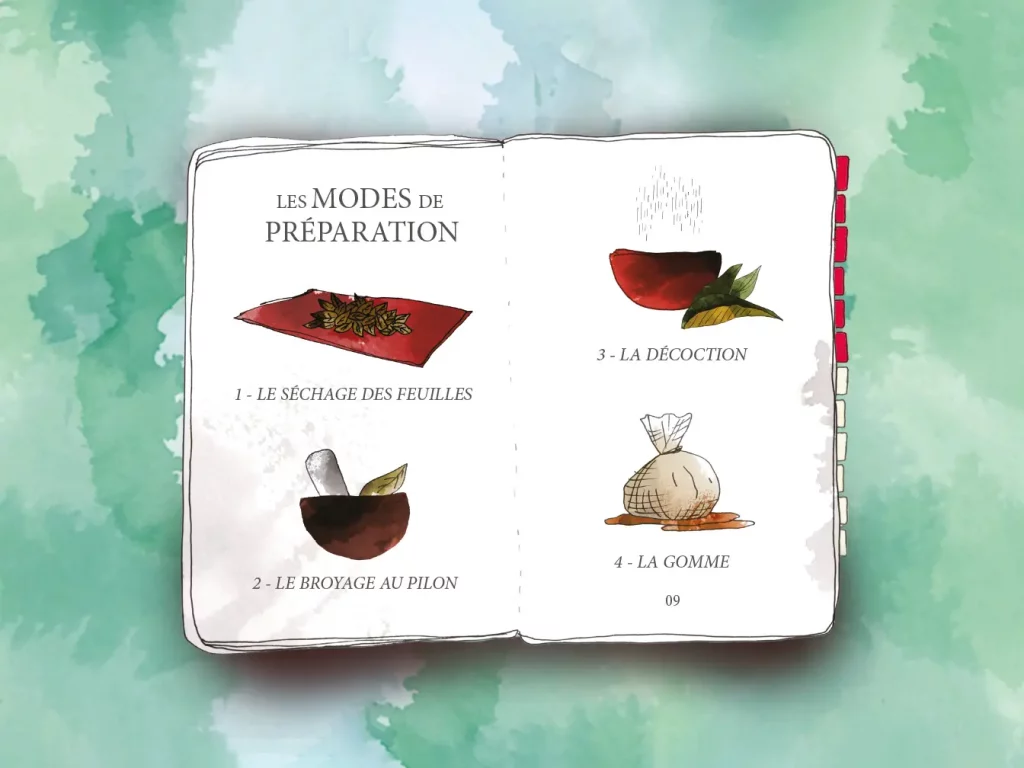 clarins illustration, experience digitale